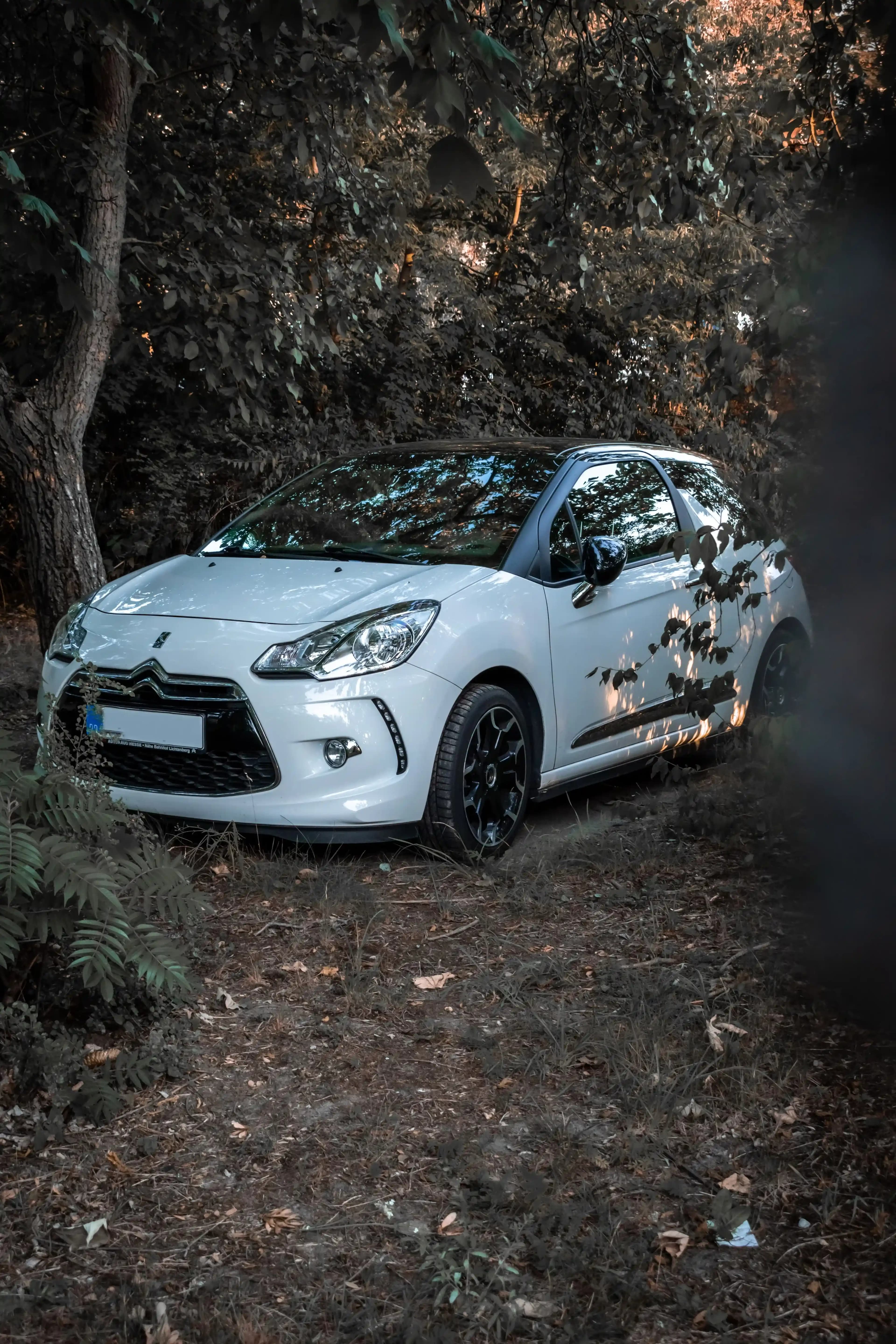 Street photography 10