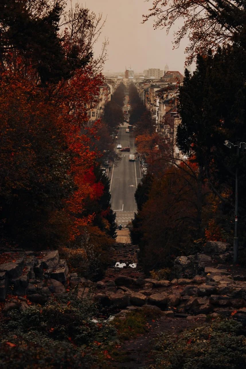 Street photography 5