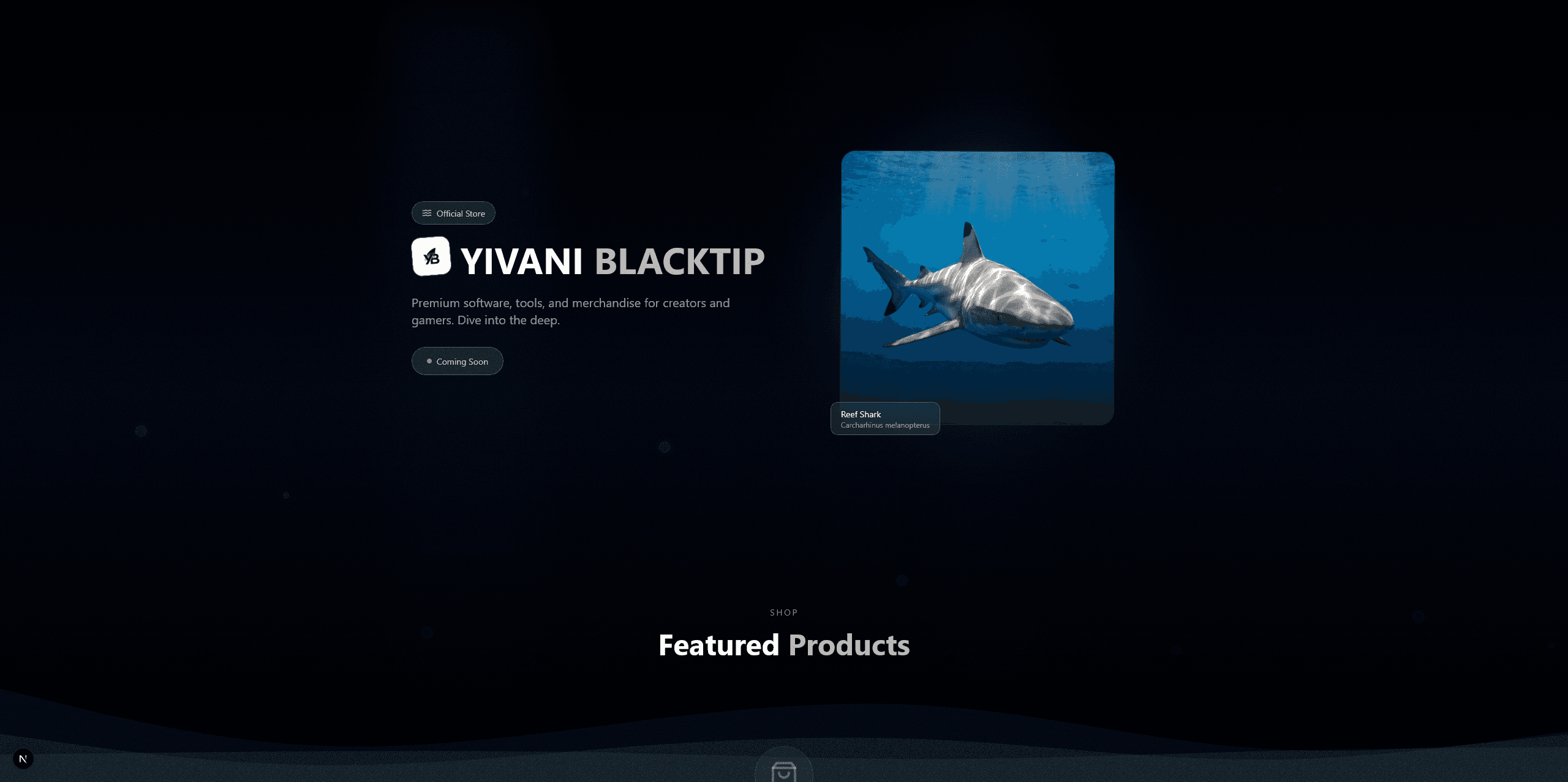 Yivani Blacktip Shop